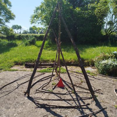 Tipi cosmos